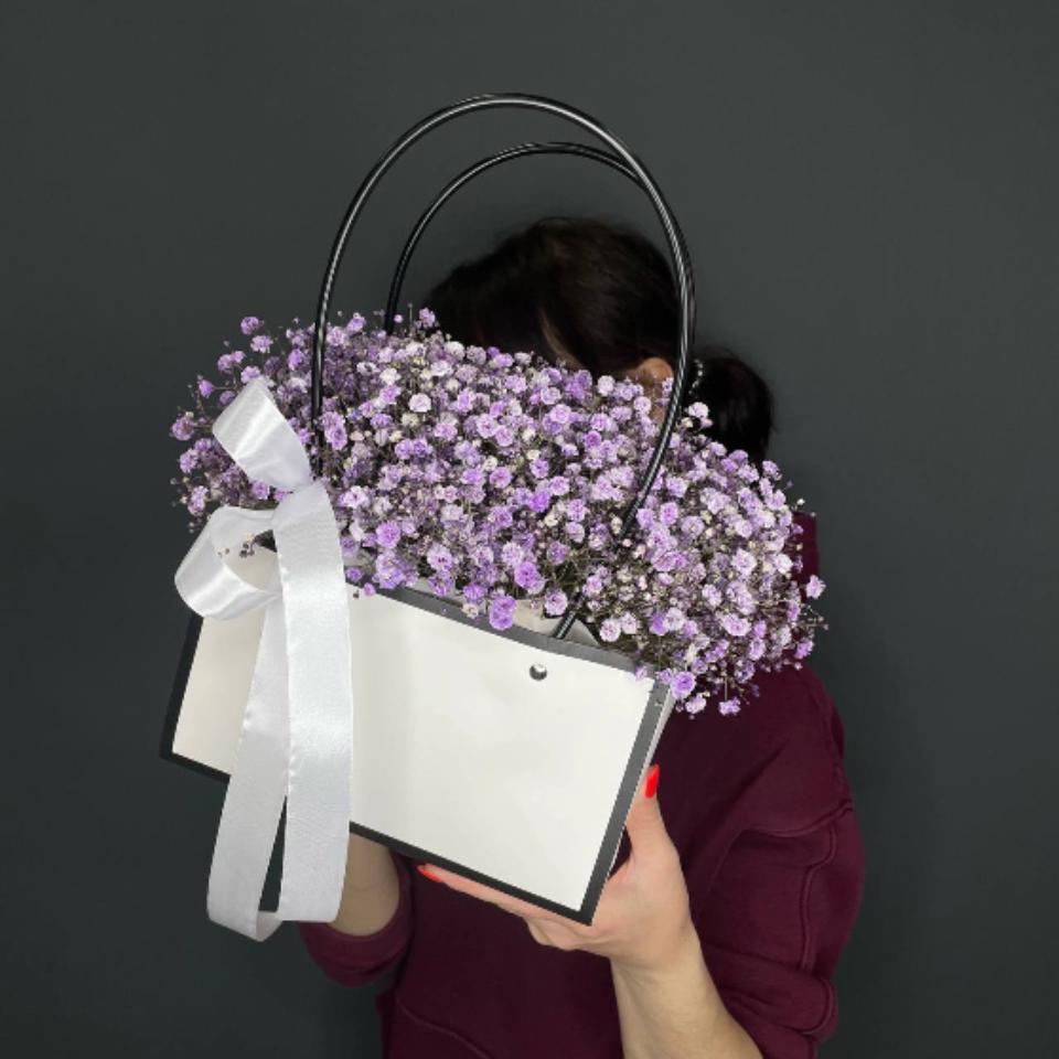 Гипсофила(6541)