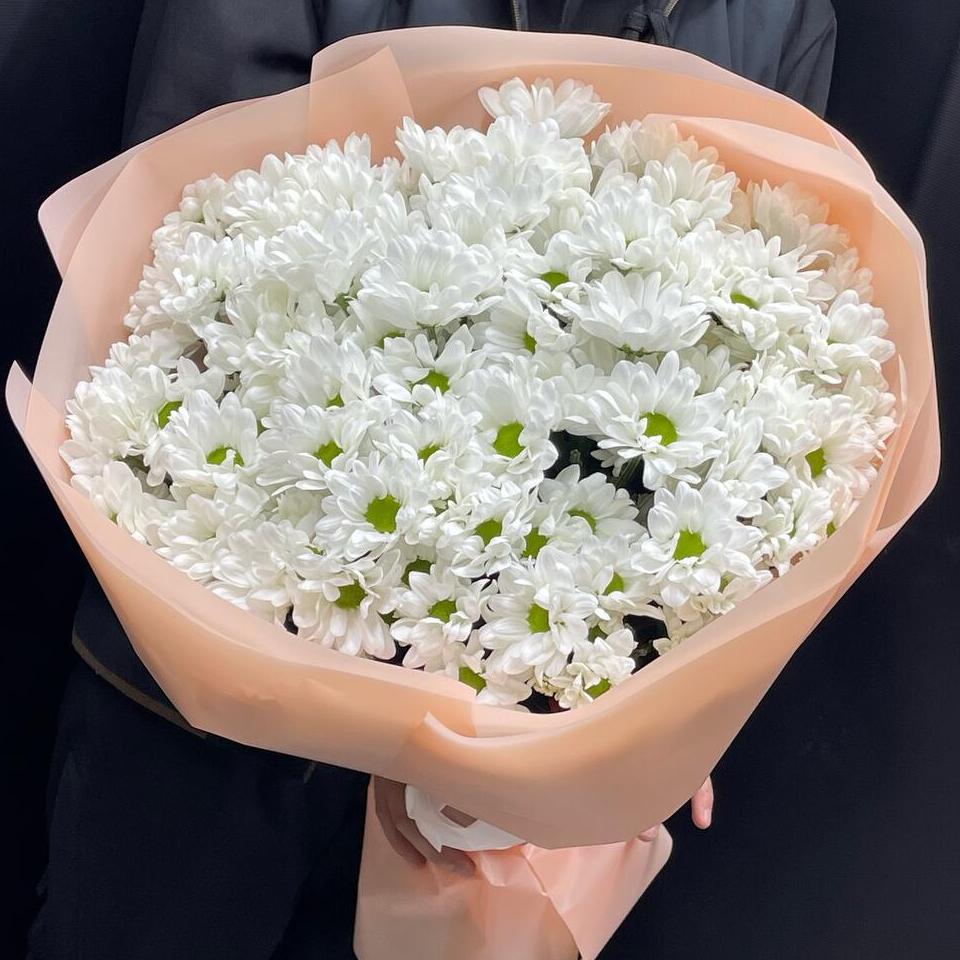 хризантема кустовая(1254)