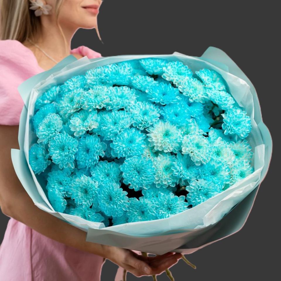 Хризантемы голубые(3498)