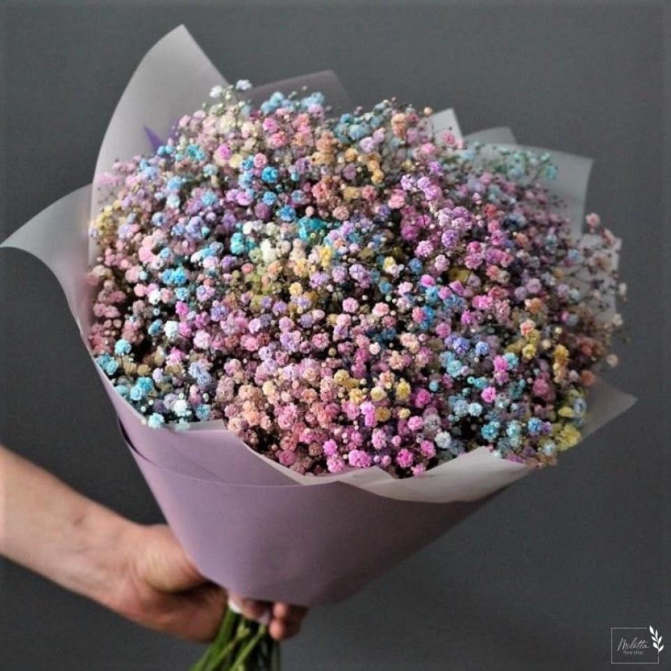 гипсофила(3487)