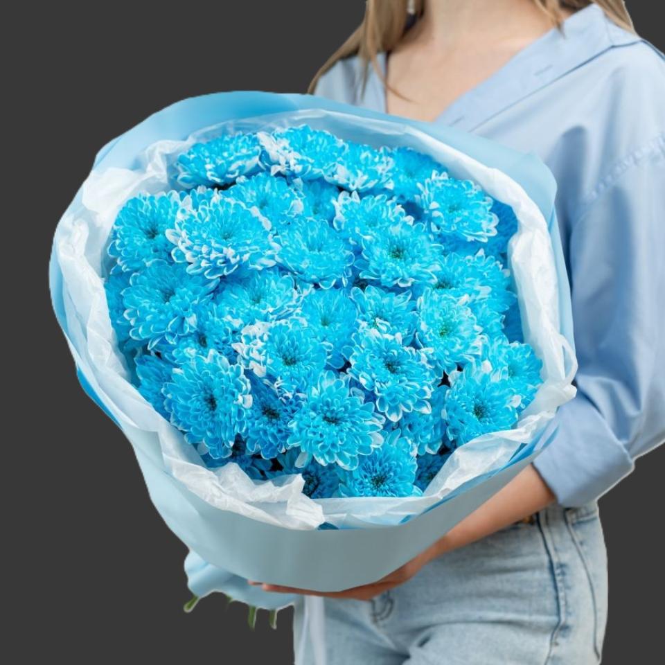 Хризантемы голубые(3648)