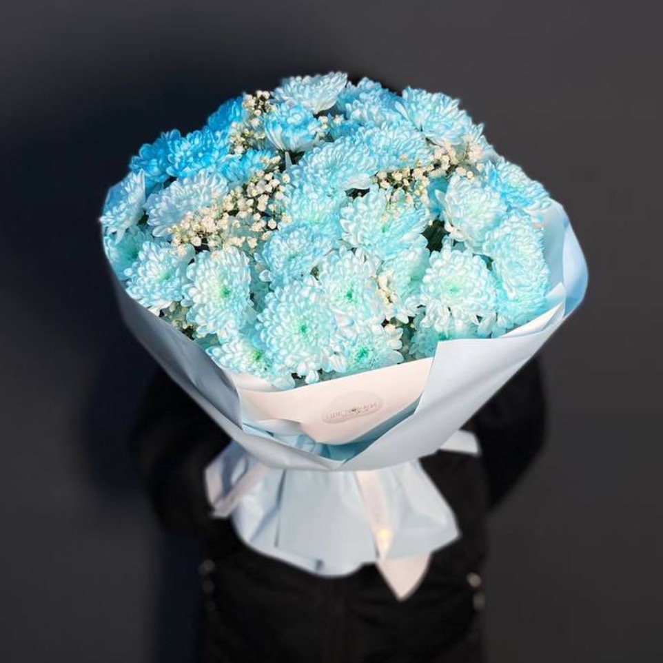 Хризантемы(238)