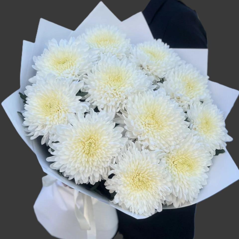 Хризантема Магнум(31587)