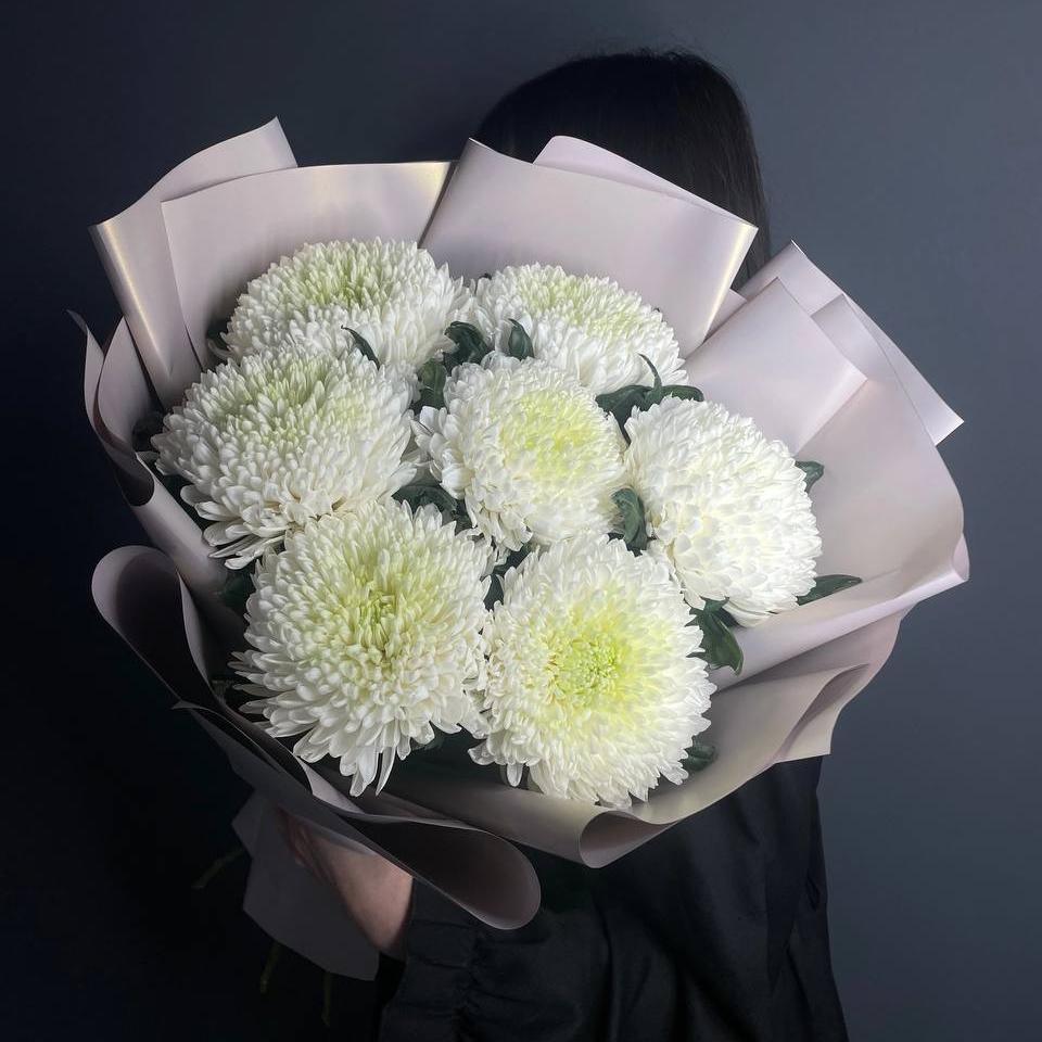 Хризантема (465)