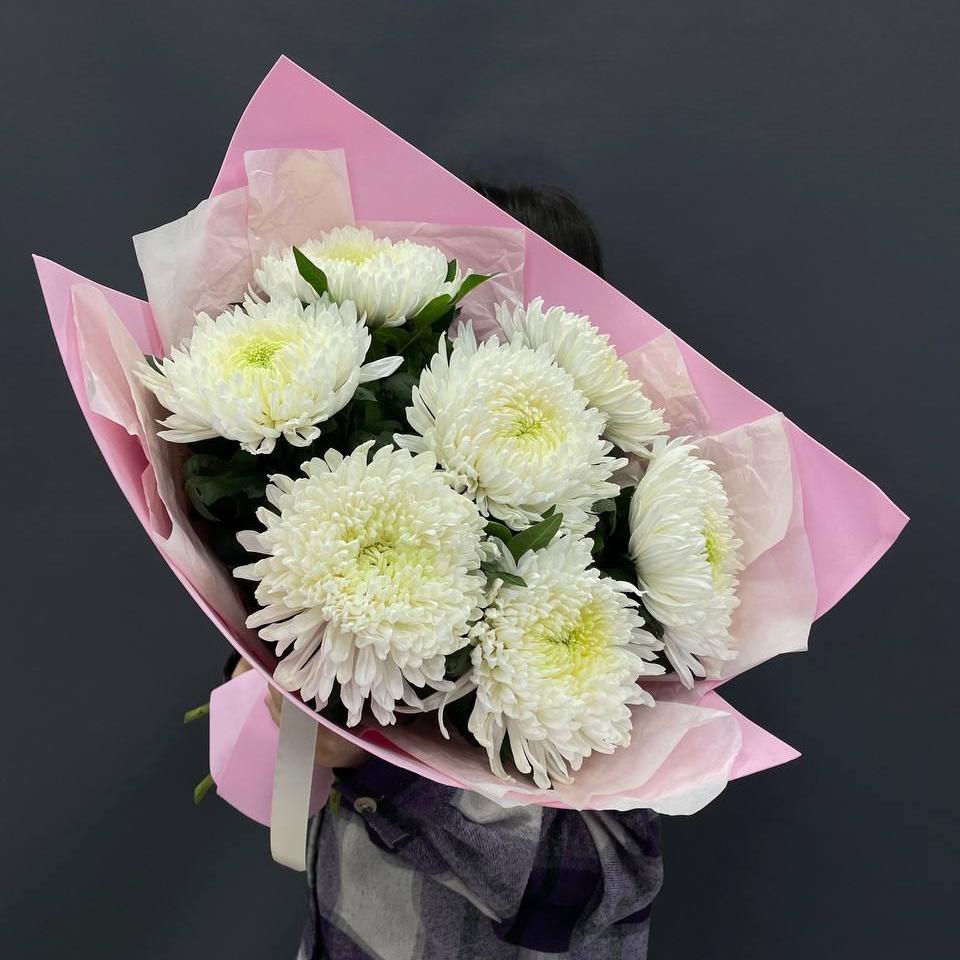 Хризантема сортовая (32971)