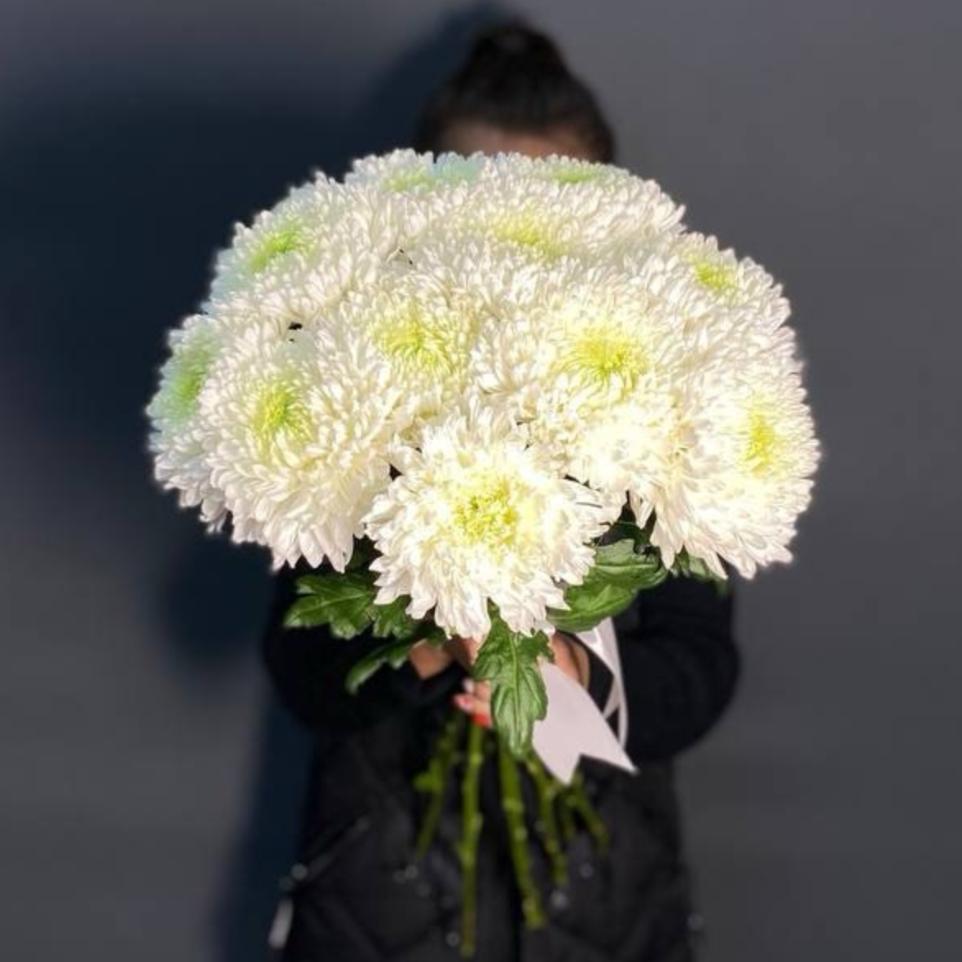 Хризантема Магнум(055)