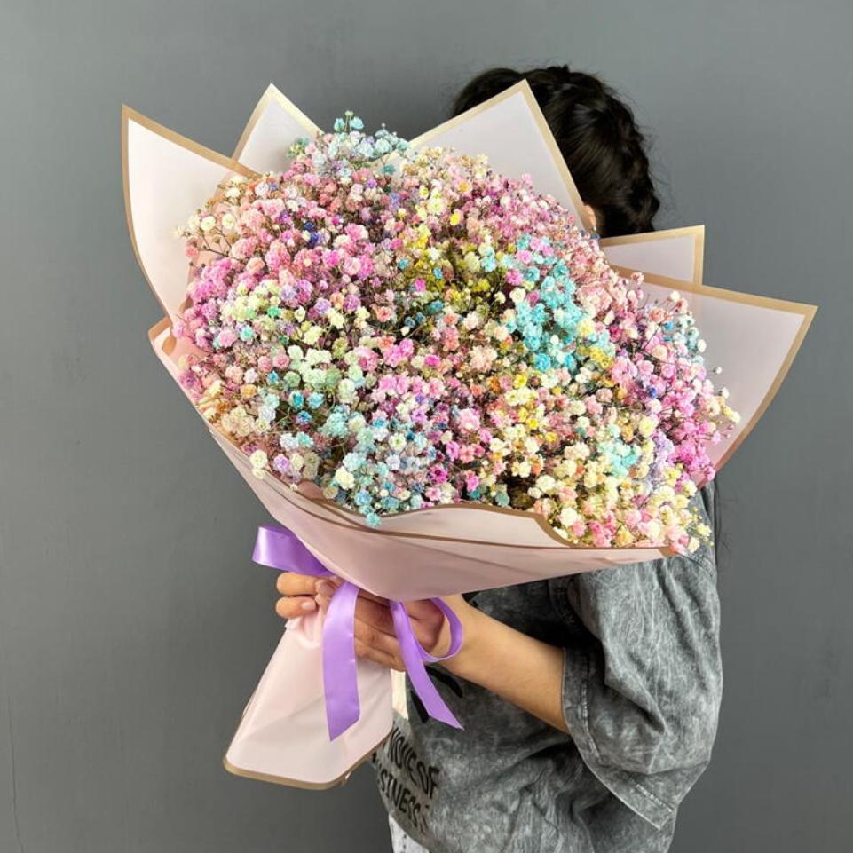 Гипсофила(1697)