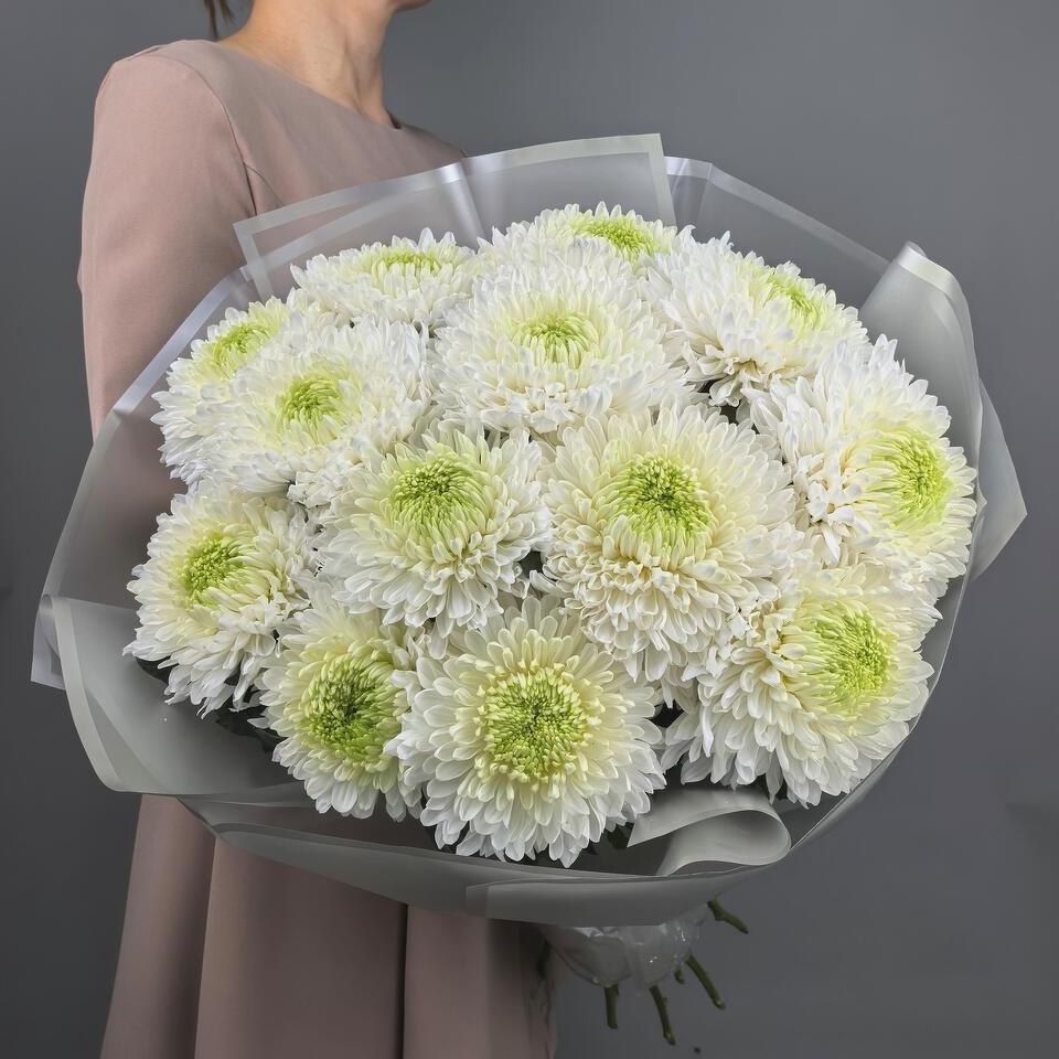 Хризантема сортовая(31698)