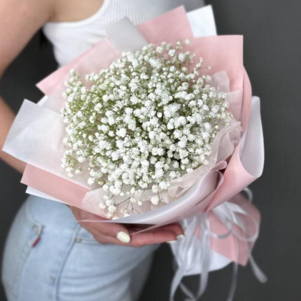 гипсафила(702)