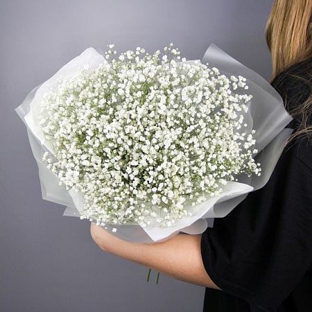 гипсофилы (364)