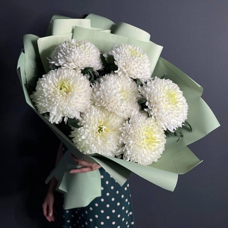 Хризантема сортовая(369741)