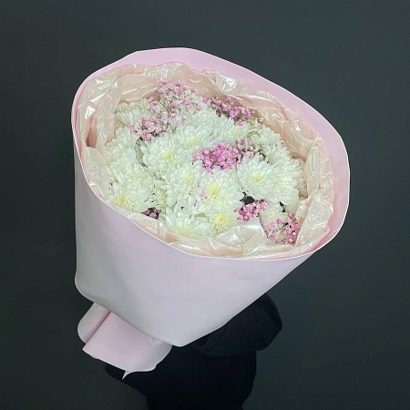 Хризантема (401)