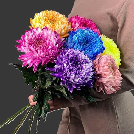 Хризантема Магнум(3578)