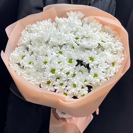 хризантема кустовая(1254)