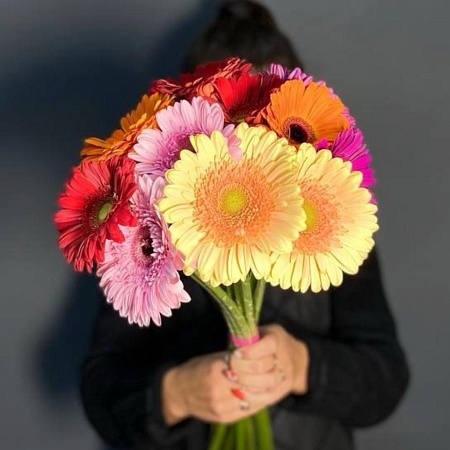 Гербера микс(057)