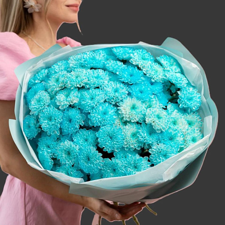 Хризантемы голубые(3498)