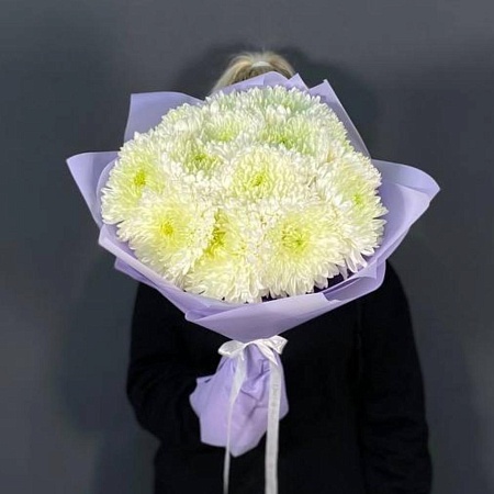 15 хризантем Магнум(036)