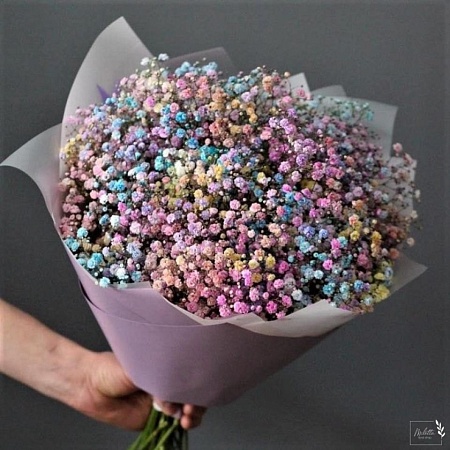 гипсофила(3487)