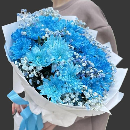 хризантемы голубые(3268)