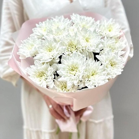 хризантема(710)