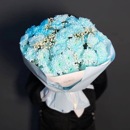 Хризантемы(238)