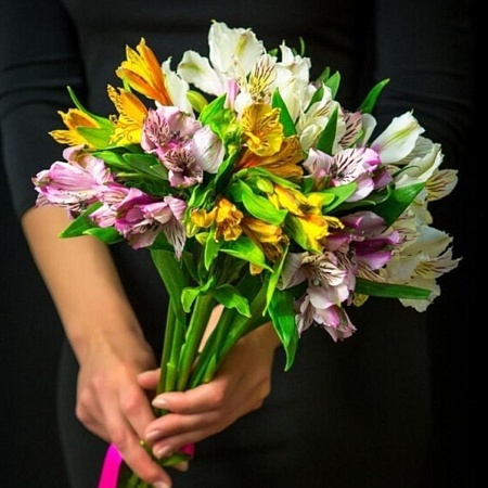 Альстромерия 9шт(318)
