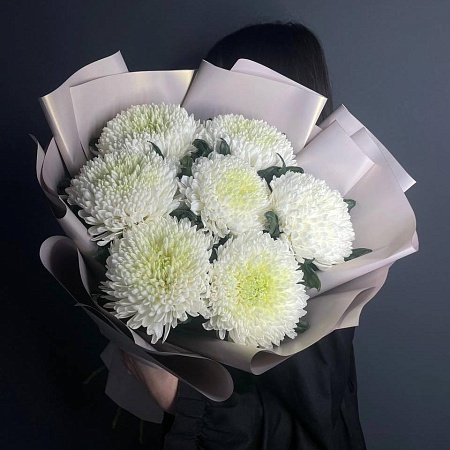 Хризантема (465)