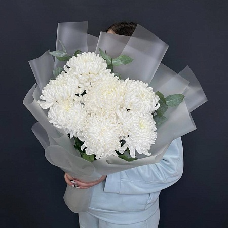 Хризантема сортовая(365)