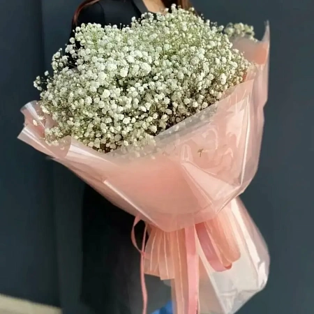 гипсафила белая(701)