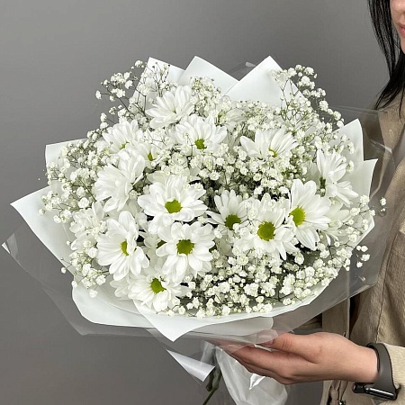 хризантема(1256)