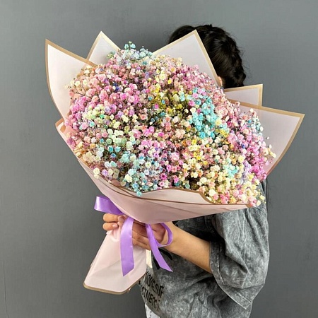 Гипсофила(1697)