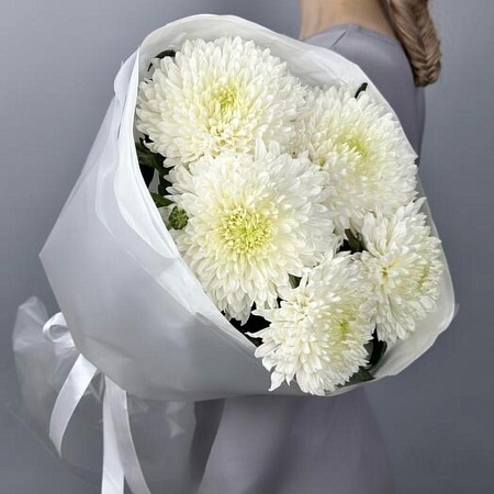 хризантема сортовая(154)