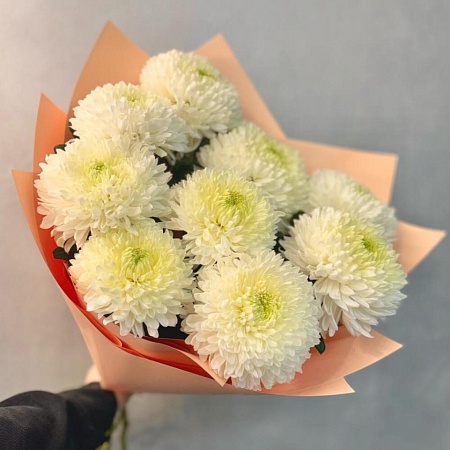 хризантема сортовая (1254)