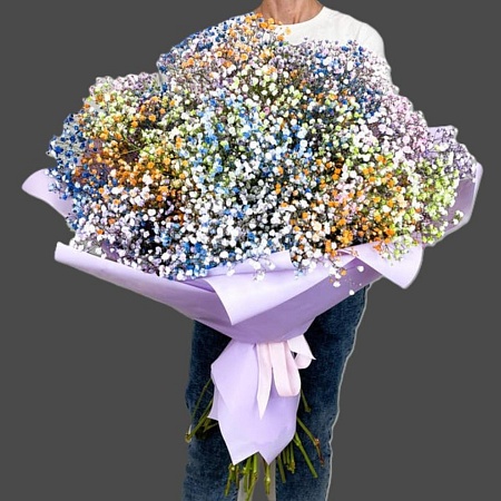 гипсофила (3254)