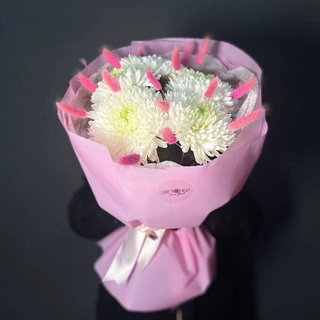 Хризантемы(3557)