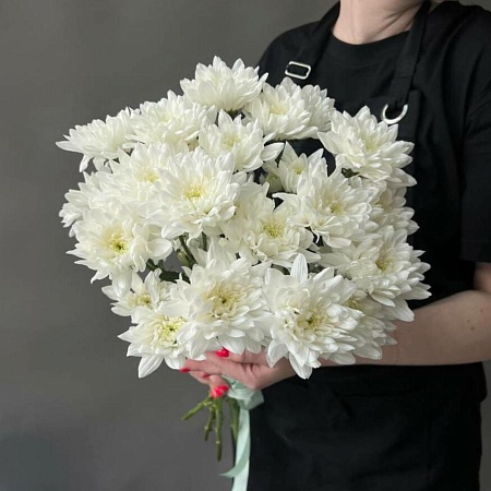 5хризантем(254)