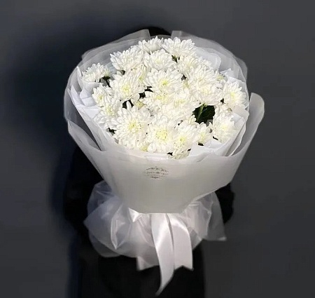 хризантема (708)